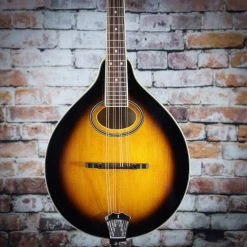 Gold Tone GM-50+ A-Style Mandolin With Pickup
