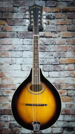 Gold Tone GM-50+ A-Style Mandolin With Pickup