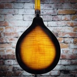 Gold Tone GM-50+ A-Style Mandolin With Pickup