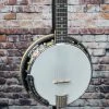 Gold Tone GT-500 Professional 6-String Banjitar Banjo