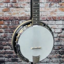 Gold Tone GT-500 Professional 6-String Banjitar Banjo
