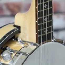 Gold Tone GT-500 Professional 6-String Banjitar Banjo