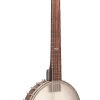 Gold Tone Wayne Rogers Signature 7-String Banjo