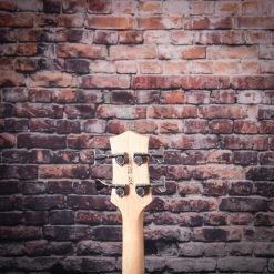 Guitar Gretsch G2220 Electromatic Junior Jet Short-Scale Bass II | Bristol Fog