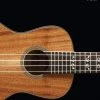 Hal Leonard Hall Lenoard Ukulele Method Book 1 Books