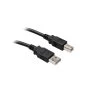 Hosa USB-203AB | High Speed USB Cable | Type A To Type B, 3 Ft Cables