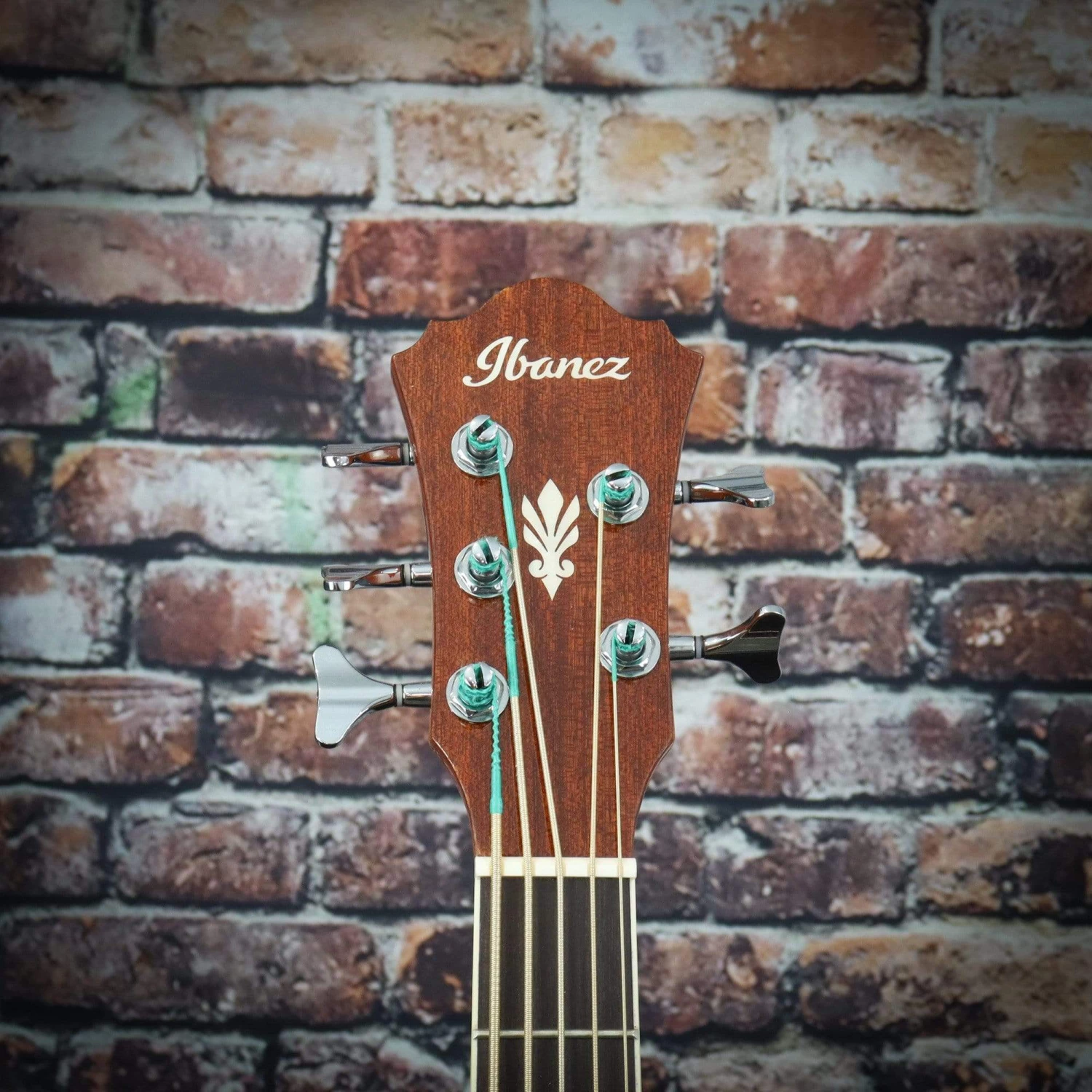 Ibanez AEB105ENT Acoustic Bass Guitar 8 Ibanez AEB105ENT Acoustic Bass Guitar