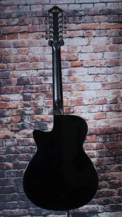 Ibanez AEG 12 String Acoustic Electric Guitar, Black | AEG5012BK