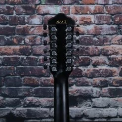 Ibanez AEG 12 String Acoustic Electric Guitar, Black | AEG5012BK