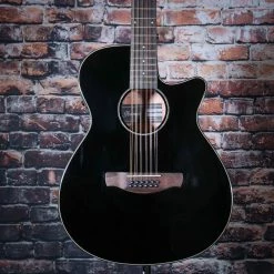 Ibanez AEG 12 String Acoustic Electric Guitar, Black | AEG5012BK