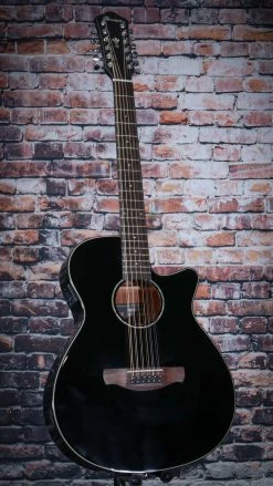 Ibanez AEG 12 String Acoustic Electric Guitar, Black | AEG5012BK