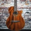 Ibanez AEG220 Acoustic Electric Guitar