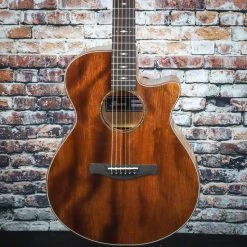 Ibanez AEG220 Acoustic Electric Guitar