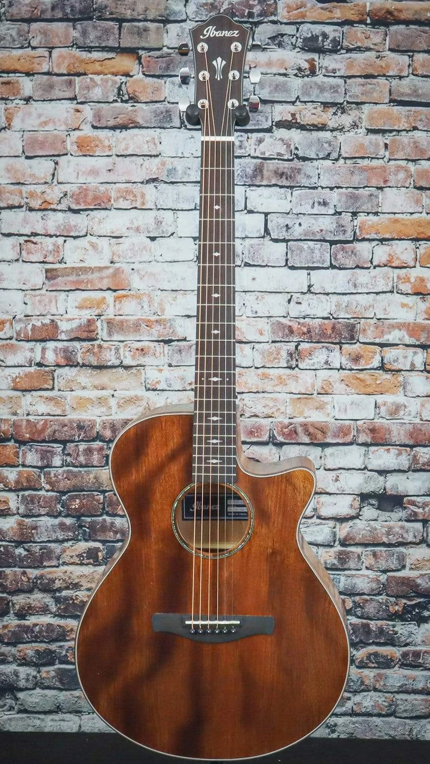 Ibanez AEG220 Acoustic Electric Guitar 4 Ibanez AEG220 Acoustic Electric Guitar