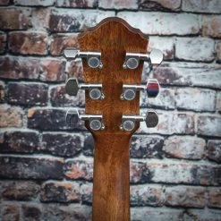 Ibanez AEG220 Acoustic Electric Guitar 10 Ibanez AEG220 Acoustic Electric Guitar