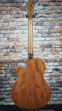 Ibanez AEG220 Acoustic Electric Guitar 9 Ibanez AEG220 Acoustic Electric Guitar