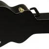 Guitar Accessories Ibanez AF100C Artcore Hollow Body Guitar Case