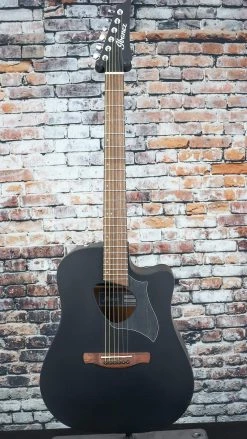Ibanez Altstar ALT20 Acoustic Guitar | Weathered Black