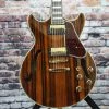 Ibanez AM93ME Artcore Expressionist Guitar | Macassar Ebony 2 Ibanez AM93ME Artcore Expressionist Guitar | Macassar Ebony
