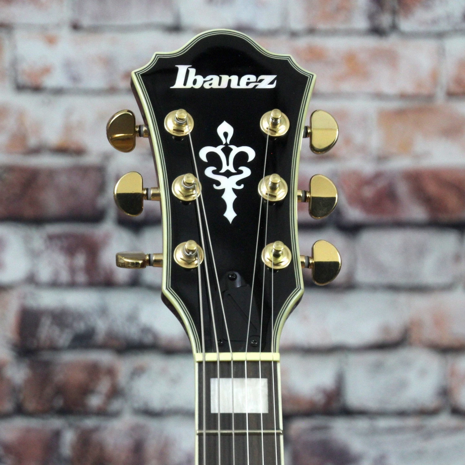 Ibanez AM93ME Artcore Expressionist Guitar | Macassar Ebony 7 Ibanez AM93ME Artcore Expressionist Guitar | Macassar Ebony