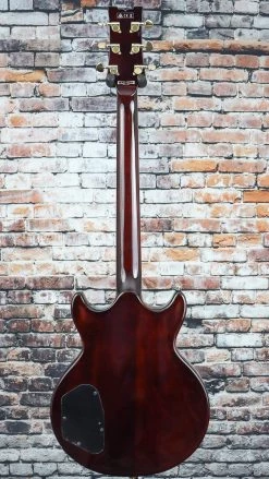 IBANEZ AR520 Semi-Hollow Guitar | Violin Sunburst