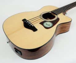 Ibanez Artwood AVCB9CE Acoustic Bass Guitar