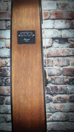 Ibanez AW5412CE 12-String Acoustic-Electric Guitar