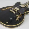 Ibanez JSM20 John Scofield Signature Electric Guitar | Black Low Gloss