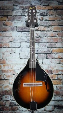 Ibanez M510 A-Style Acoustic Mandolin | Brown Sunburst