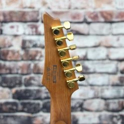 Ibanez RG421HPAH Electric Guitar | Blue Wave Black