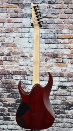 Ibanez RGA42FM Electric Guitar | Transparent Gray