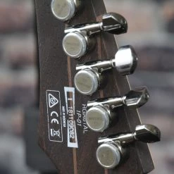 Ibanez RGA61AL Axion Label Electric Guitar | Indigo Aurora Burst