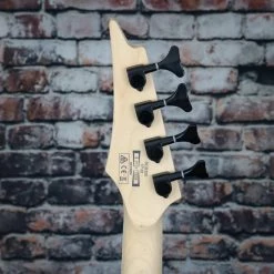 Ibanez RGB Standard Flat Soda Blue | RGB300 Guitar