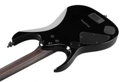 Ibanez RGD Axion Label Midnight Tropical Rainforest | RGD61ALA