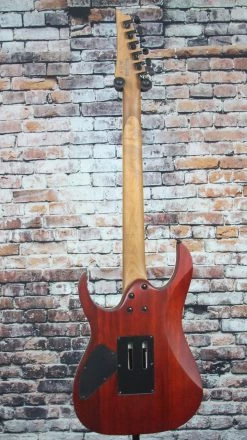 Ibanez RGEW520MCW Electric Guitar | Black Walnut Top