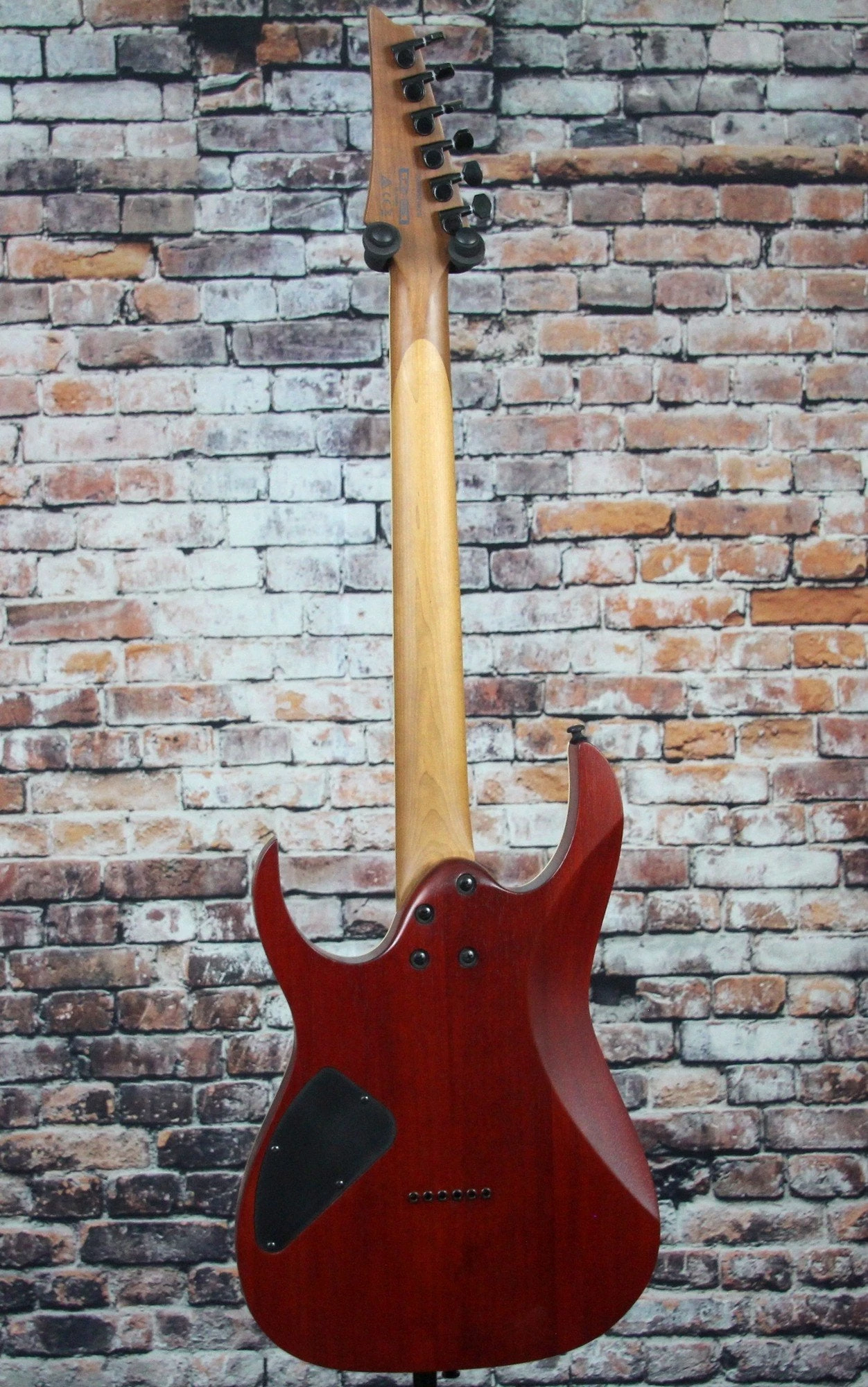 Ibanez RGEW521MZW Electric Guitar | Zebrawood Top 7 Ibanez RGEW521MZW Electric Guitar | Zebrawood Top