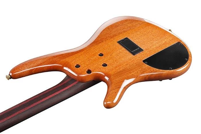 Guitar Ibanez SR Premium Bass Autumn Sunset Sky | SR1600D 5 Guitar Ibanez SR Premium Bass Autumn Sunset Sky | SR1600D