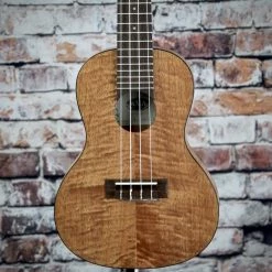 KALA EXOTIC MAHOGANY CONCERT TRAVEL UKULELE W/BAG