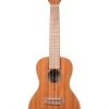Kala Gloss Mahogany Concert Ukulele | KA-CG