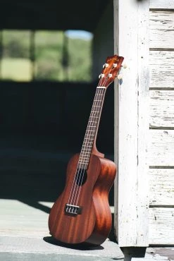 Makala Classic Satin Mahogany Concert Ukulele