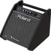 Speaker / Subwoofer Roland PM-100 Personal Monitor