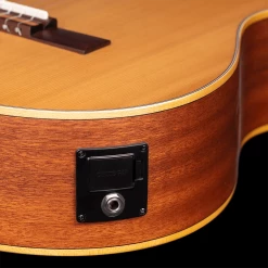 Ortega Family Series Pro Cedar Top Classical Guitar | RCE131SN 12 Ortega Family Series Pro Cedar Top Classical Guitar | RCE131SN