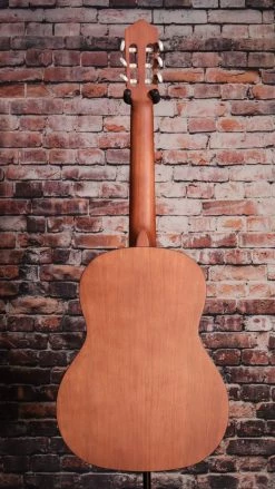 Ortega Family Series Pro Spruce Top Bourbon Fade Classical Guitar | R55BFT