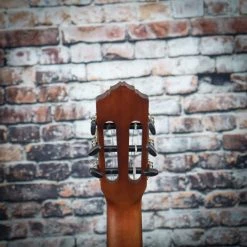 Ortega Student Series Nylon String Guitar | RSTC5M