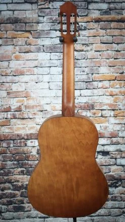 Ortega Student Series Nylon String Guitar | RSTC5M