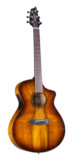 Guitar Breedlove Pursuit Exotic S Concert Tiger's Eye CE