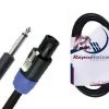 Rapco R166ON 6 Foot Pro Audio Speaker Cable | 1/4" To Speakon