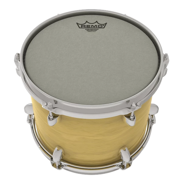 Remo Ambassador Renaissance Drumhead | 10" 4 Remo Ambassador Renaissance Drumhead | 10"