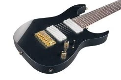 Ibanez RG Standard Iron Pewter | RG80F Guitar