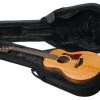 Gator Guitar Accessories Rigid EPS Polyfoam Lightweight Case For Taylor GS Mini Guitars 1 Gator Guitar Accessories Rigid EPS Polyfoam Lightweight Case For Taylor GS Mini Guitars